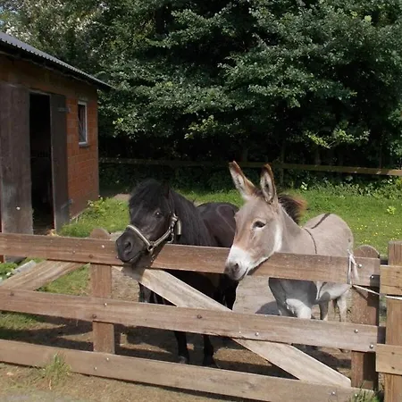 At The Kardel Farm *